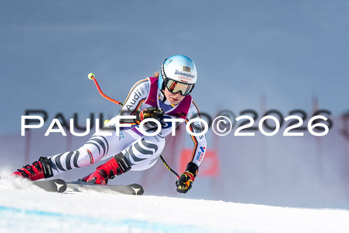 NC + NJC DH ,Frauen + Männer Axamer Lizum 25.03.2026