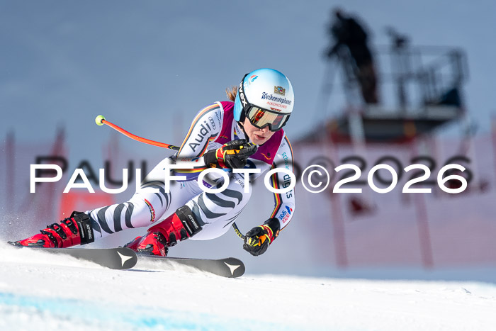 NC + NJC DH ,Frauen + Männer Axamer Lizum 25.03.2026