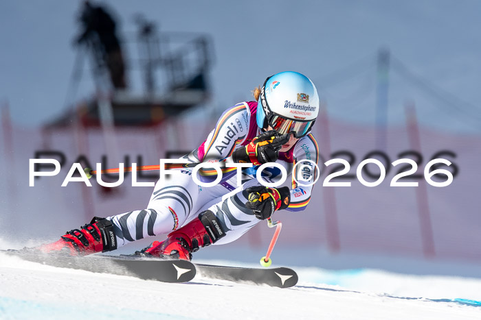 NC + NJC DH ,Frauen + Männer Axamer Lizum 25.03.2026