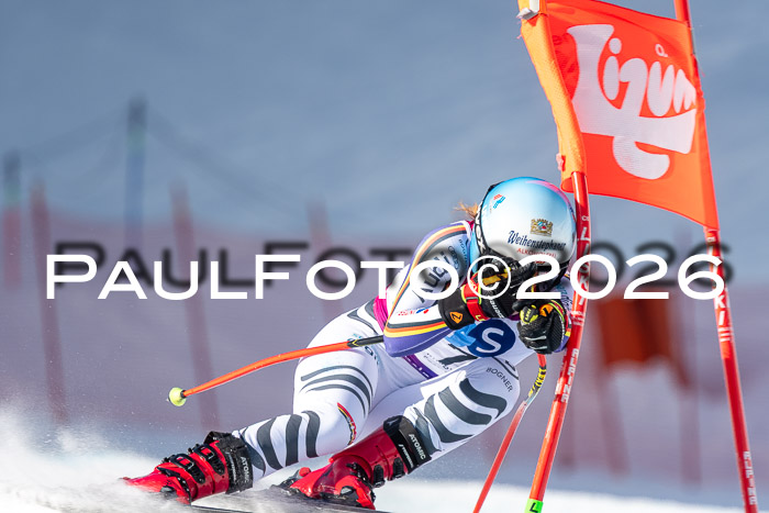 NC + NJC DH ,Frauen + Männer Axamer Lizum 25.03.2026