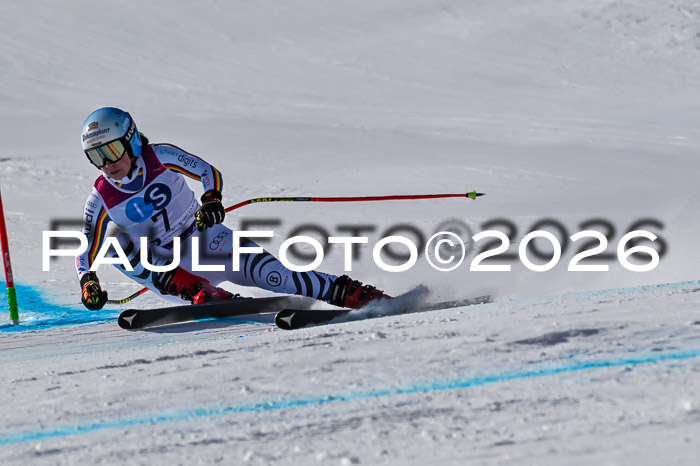 NC + NJC DH ,Frauen + Männer Axamer Lizum 25.03.2026