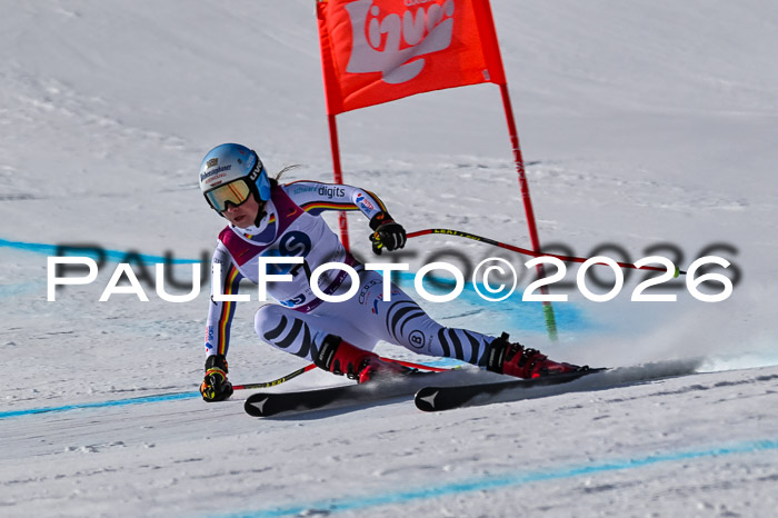 NC + NJC DH ,Frauen + Männer Axamer Lizum 25.03.2026