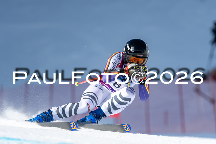 NC + NJC DH ,Frauen + Männer Axamer Lizum 25.03.2026