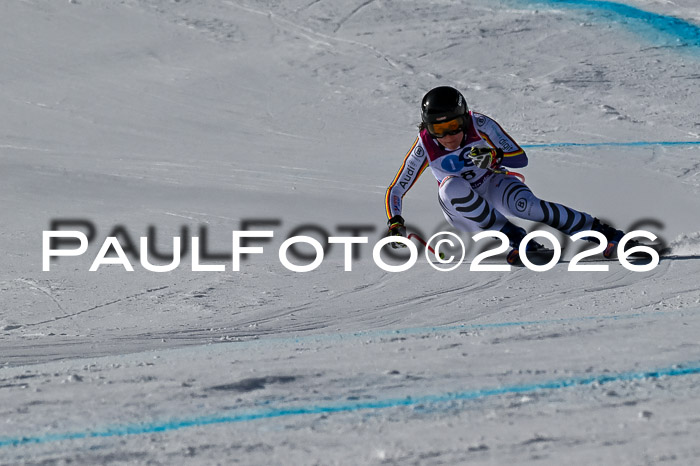 NC + NJC DH ,Frauen + Männer Axamer Lizum 25.03.2026