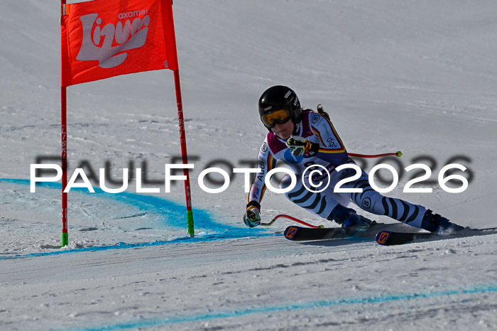 NC + NJC DH ,Frauen + Männer Axamer Lizum 25.03.2026