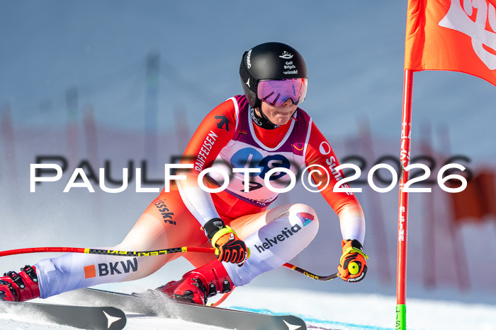 NC + NJC DH ,Frauen + Männer Axamer Lizum 25.03.2026