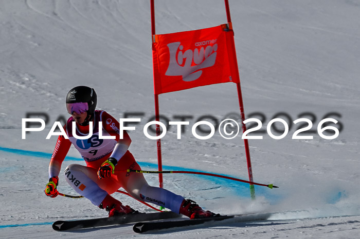 NC + NJC DH ,Frauen + Männer Axamer Lizum 25.03.2026