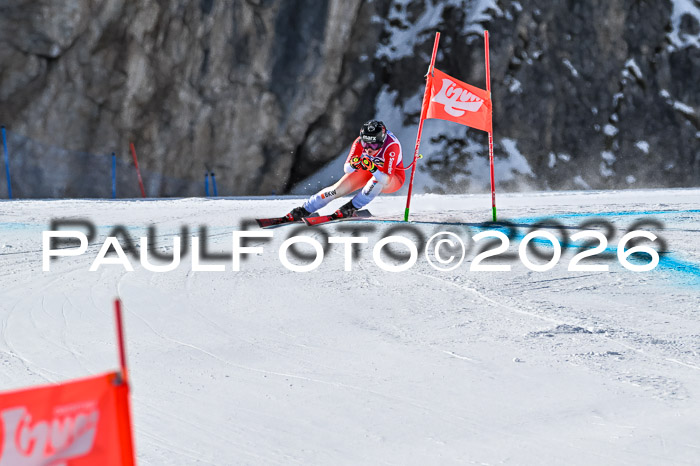 NC + NJC DH ,Frauen + Männer Axamer Lizum 25.03.2026