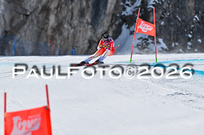 NC + NJC DH ,Frauen + Männer Axamer Lizum 25.03.2026