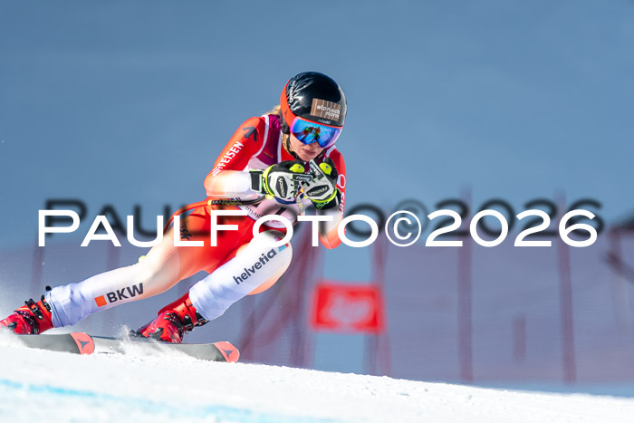 NC + NJC DH ,Frauen + Männer Axamer Lizum 25.03.2026