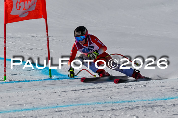 NC + NJC DH ,Frauen + Männer Axamer Lizum 25.03.2026