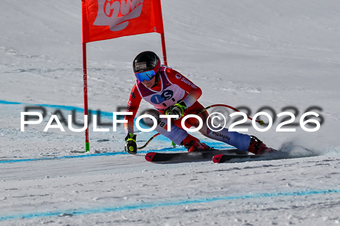 NC + NJC DH ,Frauen + Männer Axamer Lizum 25.03.2026