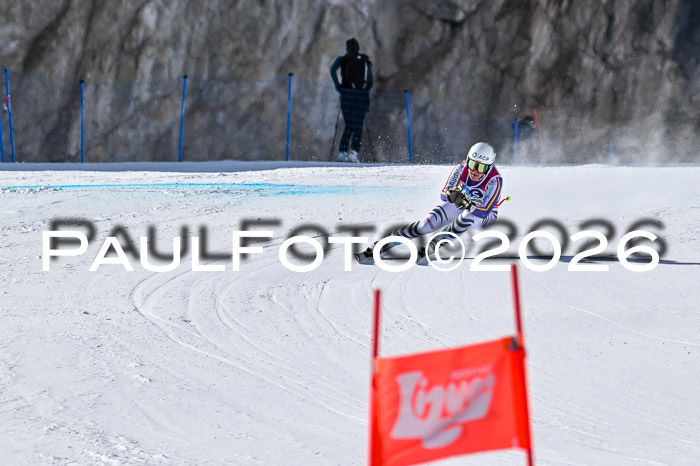 NC + NJC DH ,Frauen + Männer Axamer Lizum 25.03.2026