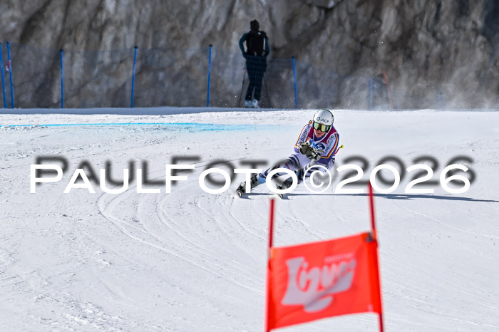 NC + NJC DH ,Frauen + Männer Axamer Lizum 25.03.2026