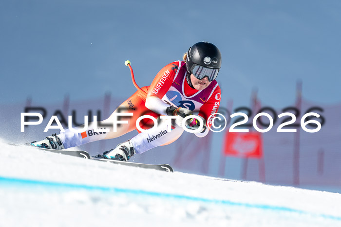 NC + NJC DH ,Frauen + Männer Axamer Lizum 25.03.2026