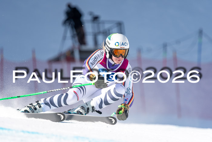 NC + NJC DH ,Frauen + Männer Axamer Lizum 25.03.2026