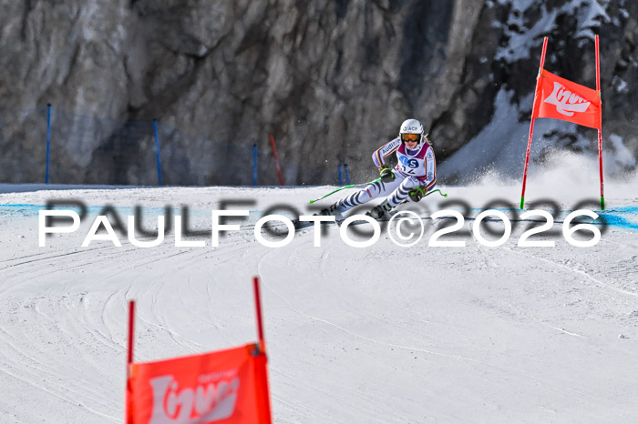 NC + NJC DH ,Frauen + Männer Axamer Lizum 25.03.2026