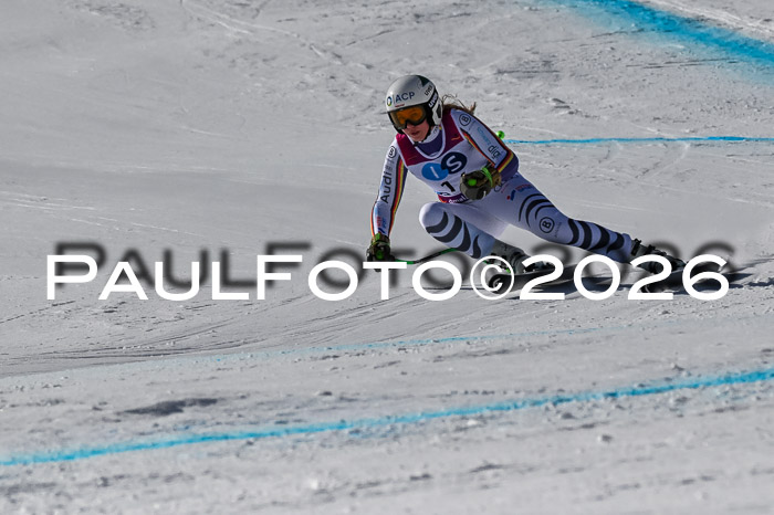 NC + NJC DH ,Frauen + Männer Axamer Lizum 25.03.2026