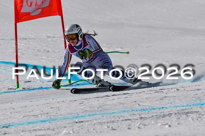 NC + NJC DH ,Frauen + Männer Axamer Lizum 25.03.2026