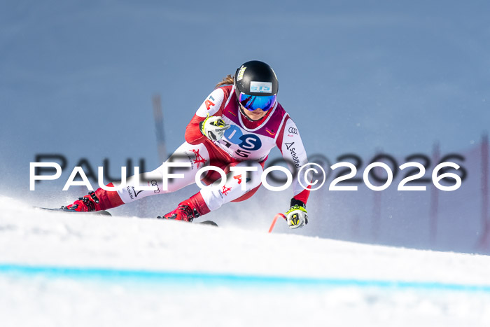 NC + NJC DH ,Frauen + Männer Axamer Lizum 25.03.2026