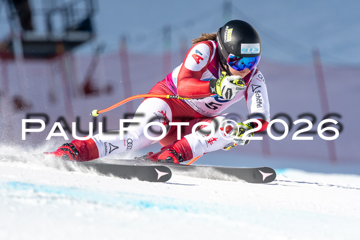 NC + NJC DH ,Frauen + Männer Axamer Lizum 25.03.2026