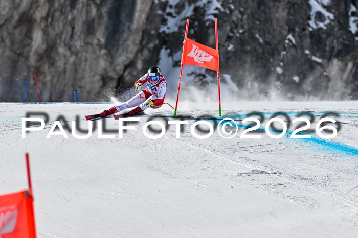 NC + NJC DH ,Frauen + Männer Axamer Lizum 25.03.2026