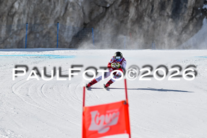 NC + NJC DH ,Frauen + Männer Axamer Lizum 25.03.2026