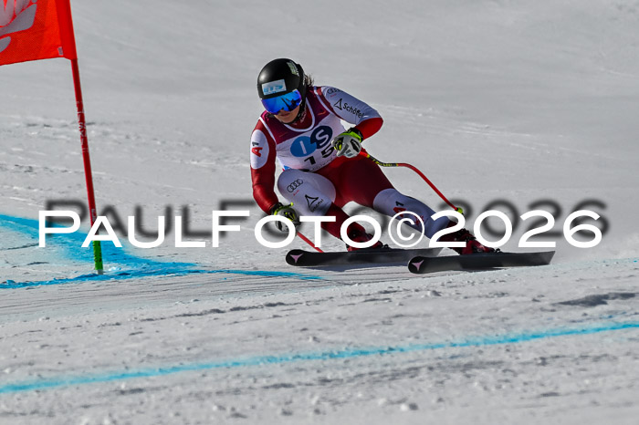 NC + NJC DH ,Frauen + Männer Axamer Lizum 25.03.2026