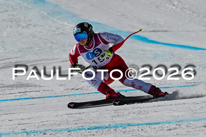 NC + NJC DH ,Frauen + Männer Axamer Lizum 25.03.2026