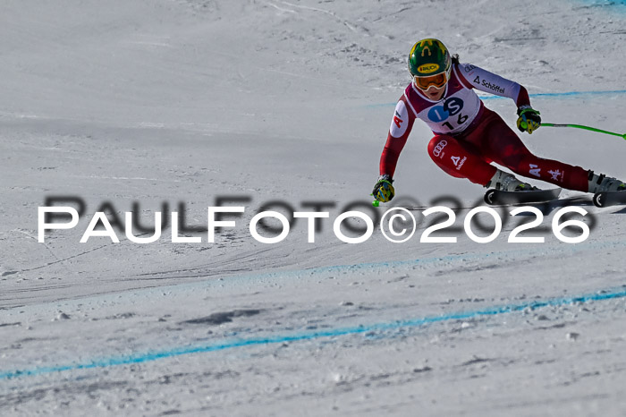 NC + NJC DH ,Frauen + Männer Axamer Lizum 25.03.2026