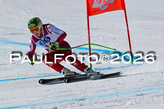 NC + NJC DH ,Frauen + Männer Axamer Lizum 25.03.2026