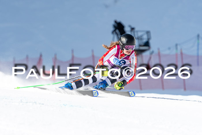 NC + NJC DH ,Frauen + Männer Axamer Lizum 25.03.2026