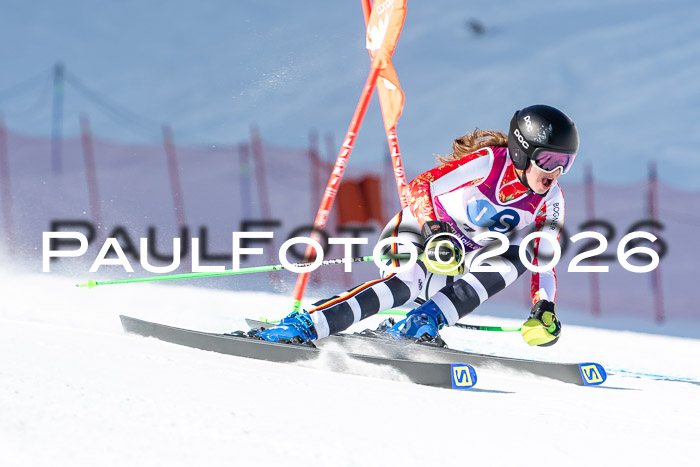 NC + NJC DH ,Frauen + Männer Axamer Lizum 25.03.2026