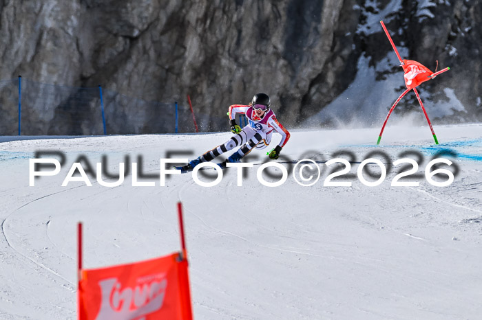 NC + NJC DH ,Frauen + Männer Axamer Lizum 25.03.2026