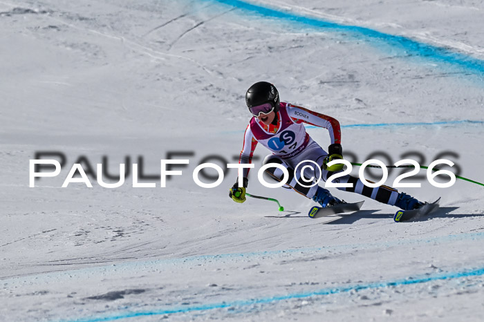 NC + NJC DH ,Frauen + Männer Axamer Lizum 25.03.2026