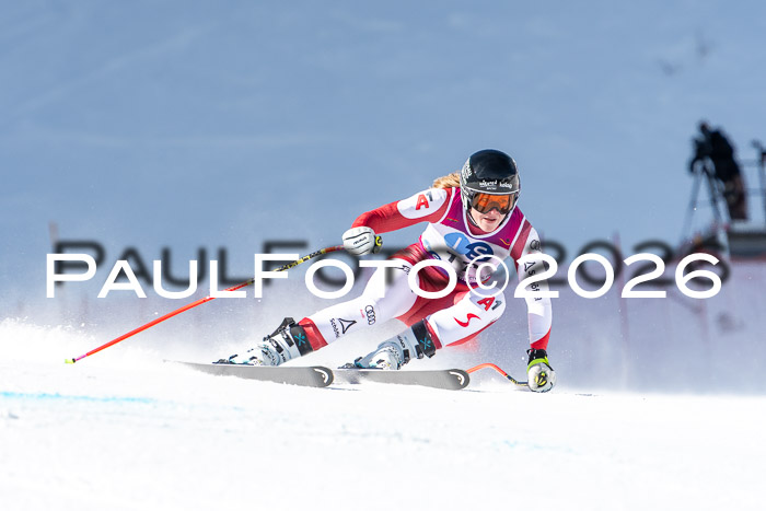 NC + NJC DH ,Frauen + Männer Axamer Lizum 25.03.2026