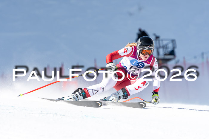 NC + NJC DH ,Frauen + Männer Axamer Lizum 25.03.2026