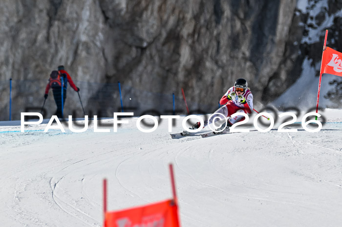 NC + NJC DH ,Frauen + Männer Axamer Lizum 25.03.2026