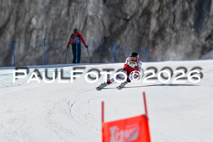 NC + NJC DH ,Frauen + Männer Axamer Lizum 25.03.2026