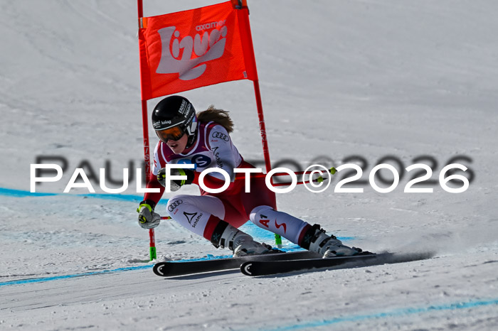 NC + NJC DH ,Frauen + Männer Axamer Lizum 25.03.2026