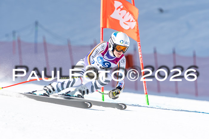 NC + NJC DH ,Frauen + Männer Axamer Lizum 25.03.2026