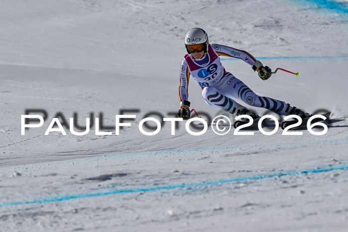 NC + NJC DH ,Frauen + Männer Axamer Lizum 25.03.2026