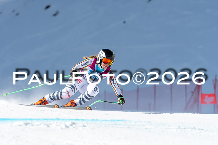 NC + NJC DH ,Frauen + Männer Axamer Lizum 25.03.2026