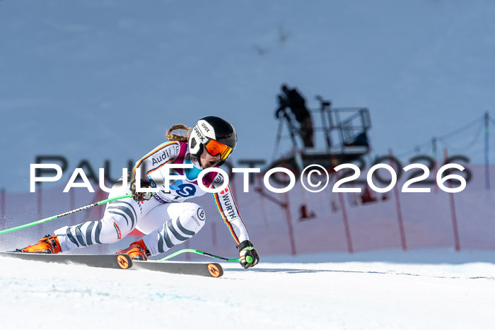 NC + NJC DH ,Frauen + Männer Axamer Lizum 25.03.2026