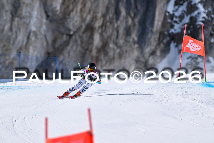 NC + NJC DH ,Frauen + Männer Axamer Lizum 25.03.2026