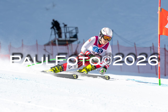 NC + NJC DH ,Frauen + Männer Axamer Lizum 25.03.2026