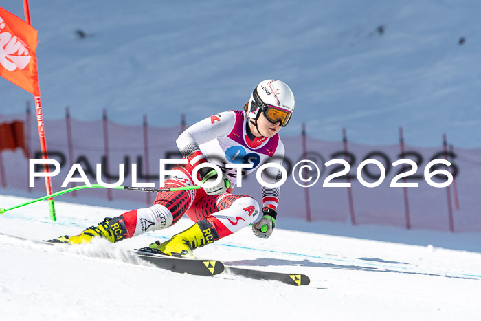 NC + NJC DH ,Frauen + Männer Axamer Lizum 25.03.2026