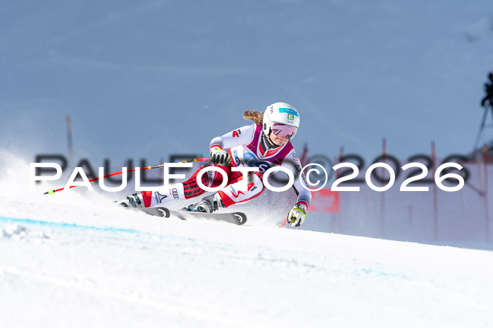 NC + NJC DH ,Frauen + Männer Axamer Lizum 25.03.2026