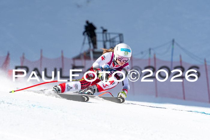 NC + NJC DH ,Frauen + Männer Axamer Lizum 25.03.2026