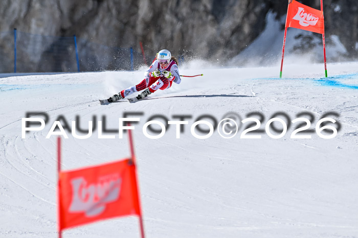 NC + NJC DH ,Frauen + Männer Axamer Lizum 25.03.2026